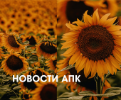 Новости АПК